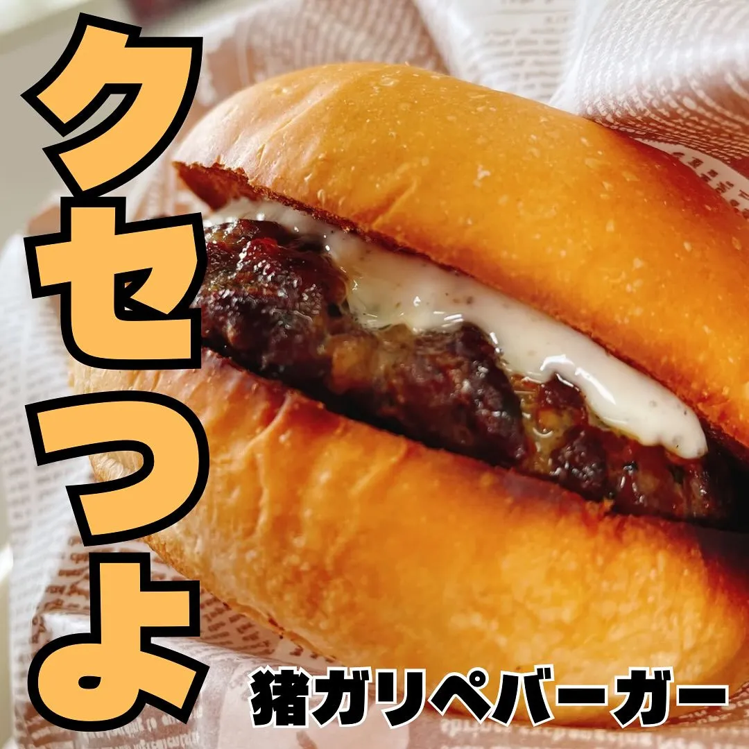 みなみのハンバーガー紹介‼️