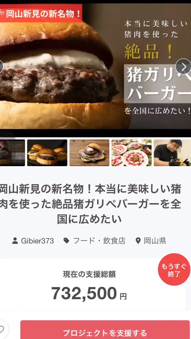 クラウドファンディングのページは